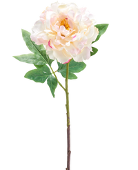 Kunstbloem Peony 61 cm creme