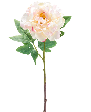 De Kunstbloem Peony 61 cm creme is een enkele kunstmatige lichtroze en crème pioenbloem met groene bladeren en een lange steel, afgebeeld tegen een witte achtergrond.