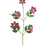 De Kunstbloem Celematis 78 cm paars heeft een enkele groene stengel met vijf bloeiende paarse bloemen, elk met puntige bloemblaadjes en een geel hart, omringd door groene bladeren en gekrulde ranken, geïsoleerd op een witte achtergrond.