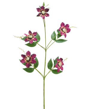 De Kunstbloem Celematis 78 cm paars heeft een enkele groene stengel met vijf bloeiende paarse bloemen, elk met puntige bloemblaadjes en een geel hart, omringd door groene bladeren en gekrulde ranken, geïsoleerd op een witte achtergrond.