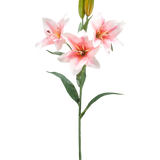 Een enkele steel van Kunstbloem Lelie 78 cm wit/roze heeft drie roze en witte lelies in bloei, twee gesloten knoppen en groene bladeren, tegen een effen witte achtergrond.