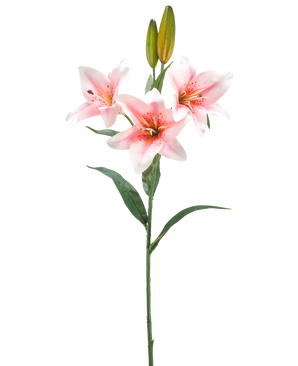 Een enkele steel van Kunstbloem Lelie 78 cm wit/roze heeft drie roze en witte lelies in bloei, twee gesloten knoppen en groene bladeren, tegen een effen witte achtergrond.