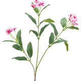 Een Kunstbloem Catharanthus 68 cm in fuchsia/creme met lange, slanke groene bladeren en trossen vijfbladige bloemen wordt getoond tegen een effen witte achtergrond.