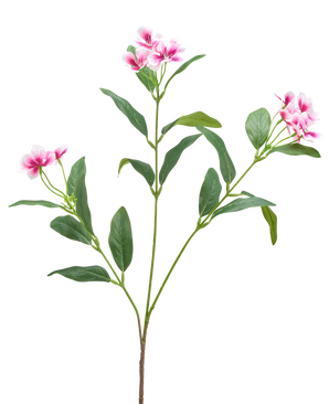 Een Kunstbloem Catharanthus 68 cm in fuchsia/creme met lange, slanke groene bladeren en trossen vijfbladige bloemen wordt getoond tegen een effen witte achtergrond.