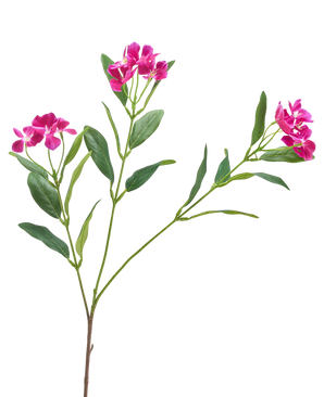 De Kunstbloem Catharanthus 68 cm paars heeft trossen levendige paarse bloemen en slanke groene bladeren op een witte achtergrond.