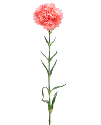 Kunstbloem Carnation 68 cm zalm roze