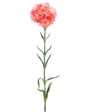 De Kunstbloem Anjer 68 cm zalm roze is een enkele kunstanjer met ruches van zalmroze bloemblaadjes, een lange groene steel en verschillende groene bladeren, geïsoleerd op een witte achtergrond.