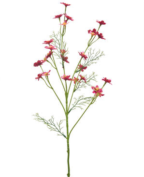 Een Kunstbloem Wilde Bloem 68 cm in donkerroze, met slanke groene stelen, vederlichte bladeren en meerdere kleine felroze bloemen op een witte achtergrond.
