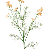 De Kunstbloem Wilde Delphinium 71 cm licht crème heeft een delicate kunststengel met licht crèmekleurige bloemen en fijne, vederlichte groene bladeren, tegen een effen witte achtergrond.