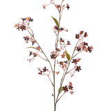 De Kunstbloem Daphne 108 cm bordeaux heeft een enkele stengel met meerdere dunne takken, kleine donkerpaarse en roze bloemen met een geel hart en een paar groene bladeren tegen een effen witte achtergrond.