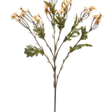 De Kunstbloem Mini Daisy 61 cm creme is een enkele kunstbloemenstengel met meerdere takken, groene bladeren en kleine crèmekleurige margrietachtige bloemen tegen een effen witte achtergrond.