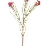De Kunstbloem Wax 78 cm oud roze heeft een enkele groene stengel met dunne, naaldachtige bladeren en trosjes kleine, oudroze bloemen aan de uiteinden, geïsoleerd op een witte achtergrond.