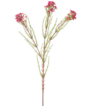 De Kunstbloem Wax 78 cm oud roze heeft een enkele groene stengel met dunne, naaldachtige bladeren en trosjes kleine, oudroze bloemen aan de uiteinden, geïsoleerd op een witte achtergrond.