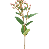 De Kunstbloem Hypericum 65 cm roze heeft trosjes kleine roze bloemknoppen en groene bladeren op een lange, slanke bruine stengel, tegen een effen witte achtergrond.