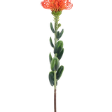 Een enkele Kunstbloem Mini Protea 61 cm oranje met een piekerige oranje bloem en groene bladeren tegen een effen witte achtergrond.