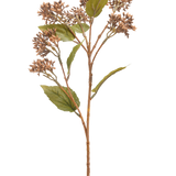 De Kunstbloem Sedum 67 cm bruin heeft een enkele bruin met groene kunstplantstengel met trosjes kleine bruine knoppen en verschillende groene bladeren, geïsoleerd op een witte achtergrond.