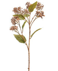 Kunstbloem Sedum 67 cm bruin