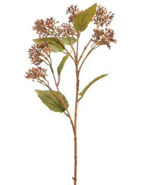 De Kunstbloem Sedum 67 cm bruin heeft een enkele bruin met groene kunstplantstengel met trosjes kleine bruine knoppen en verschillende groene bladeren, geïsoleerd op een witte achtergrond.