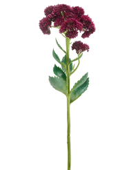 Kunstbloem Sedum 57 cm paars