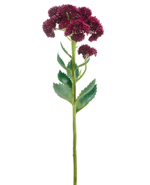 Een enkele Kunstbloem Sedum 57 cm paars heeft een lange groene stengel met trosjes kleine donkerpaarse bloemen en groene bladeren, geïsoleerd op een witte achtergrond.