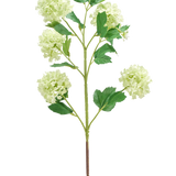 De Kunstbloem Sneeuwbal 77 cm groen heeft een enkele groene stengel met meerdere takken, elk versierd met trosjes ronde, lichtgroene bloemen en verschillende groene bladeren, allemaal geïsoleerd op een witte achtergrond.