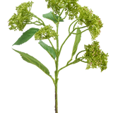 Een Kunstbloem Hortensia 56 cm groen/rood met een groene stengel met trosjes compacte groene knoppen en langwerpige bladeren, afgebeeld tegen een witte achtergrond.