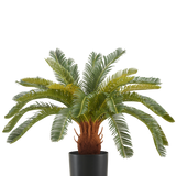 De Kunstplant Cycas UV 60 cm heeft lange, gebogen groene bladeren en een dikke, bruine stam met textuur in een zwarte pot, tegen een witte achtergrond.