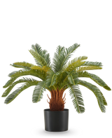 De Kunstplant Cycas UV 60 cm heeft lange, gebogen groene bladeren en een dikke, bruine stam met textuur in een zwarte pot, tegen een witte achtergrond.