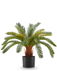Kunstplant Cycas UV 60 cm