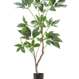 De Kunstplant Schefflera 90 cm is een hoge kunstplant met brede groene bladeren en een slanke bruine stengel, weergegeven in een eenvoudige zwarte pot tegen een effen witte achtergrond.