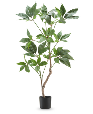 De Kunstplant Schefflera 90 cm is een hoge kunstplant met brede groene bladeren en een slanke bruine stengel, weergegeven in een eenvoudige zwarte pot tegen een effen witte achtergrond.