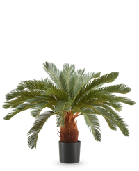 Kunstplant Cycas UV 90 cm