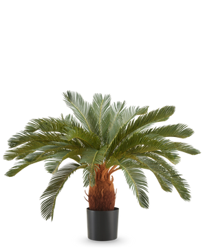 De Kunstplant Cycas UV 90 cm heeft lange, gebogen groene bladeren en een dikke bruine stam in een zwarte pot, tegen een effen witte achtergrond.