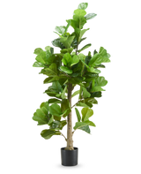 De Kunstplant Tabaksplant 180 cm heeft hoge, brede groene bladeren en wordt geleverd in een zwarte pot, tegen een effen witte achtergrond.