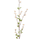 De Kunstbloem Bloemen 119 cm crème heeft een enkele hoge tak met crèmekleurige bloemen en groene bladeren langs de slanke bruine stelen, tegen een effen witte achtergrond.