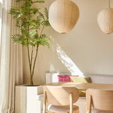 Een lichte, minimalistische woonruimte met houten stoelen, een witte bank met kleurrijke kussens, grote ramen met gordijnen, twee ronde papieren lantaarn-hanglampen en de Kunstplant Mahonia van 210 cm, die voor een vleugje groen zorgt. Het zonlicht werpt schaduwen op de muren.