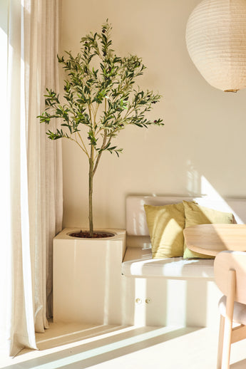 De Kunst Olijfboom van 150 cm staat naast een wit bankje met groene en beige kussens, vlakbij een ronde houten tafel en een hangende papieren lamp in een zonovergoten, minimalistische kamer.