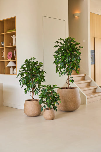 Drie kamerplanten in potten van verschillende afmetingen, waaronder de Kunstplant Ficus Groen 90 cm, staan opgesteld op een lichtgekleurde vloer bij een trap, met houten planken en woonaccessoires op de achtergrond – een ideale opstelling van kantoorplanten voor elke moderne werkruimte.