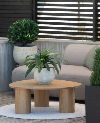 Op een klein vloerkleed naast een grijze bank op een terras staat een houten salontafel met daarop een Kunstplant Bird’s Deluxe van 60 cm, met op de achtergrond nog enkele potplanten.