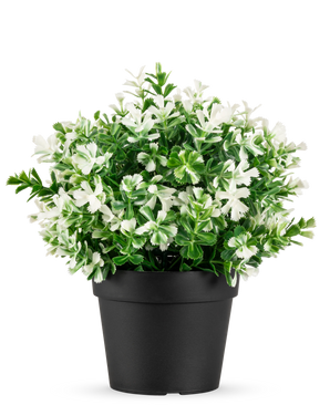 De Kunstplant Klavertje vier wit UV 22 cm is een zwarte bloempot met kunstmatige groene bladeren en kleine witte bloemen op een effen witte achtergrond.
