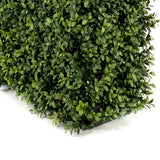 Kunst Buxushaag UV 100x20x50 cm haagpaneel met kleine, glanzend groene bladeren is afgebeeld op een witte achtergrond.