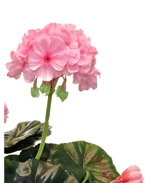 Een close-up van de Kunst Geranium 40 cm roze, met levensechte roze bloemtrossen en groene bladeren tegen een witte achtergrond, wat de realistische schoonheid van deze kunstplant benadrukt.