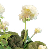 Een close-up van de Kunst Geranium 40 cm wit, met lichtwitte kunstbloemen met groene bladeren tegen een effen witte achtergrond.