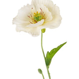 De Kunst Klaproos Real Touch Crème/geel 65cm heeft een enkele witte bloem met delicate bloemblaadjes, een geelgroen hart, dunne steel, groen blad en kleine knop tegen een effen witte achtergrond.