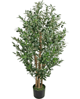 De Kunst Olijfplant 120 cm UV is een hoge kunstolijfboom met meerdere houten stammen en dichte groene bladeren in een kleine zwarte pot.