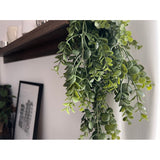 Een close-up van de Kunst hangplant Pannenkoek 61 cm met groene bladranken hangend aan een donkere houten plank, omlijst door een zwart-witte architectuurtekening tegen een witte muur op de achtergrond.