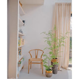 Een minimalistische kamer met een houten stoel naast de Kunst varen plant 85 cm en twee kamerplanten in pot, een hoog raam met beige gordijnen en een witte boekenplank met boeken en decor. Zacht natuurlijk licht vult de ruimte.