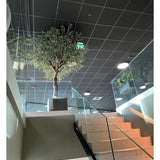 Een moderne binnentrap met glazen leuningen leidt naar een overloop met daarop de Kunst Olijfboom met olijven (270 cm) in een grote pot, geplaatst onder een plafond met rasterpatroon, inbouwverlichting en een zichtbaar groen nooduitgangbord.