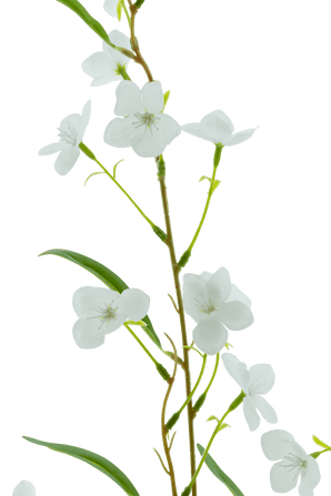 Een close-up van de Kunstbloem Alstroemeria Real Touch Wit 100 cm toont de delicate groene steel, slanke bladeren en kleine witte bloemen tegen een effen witte achtergrond.