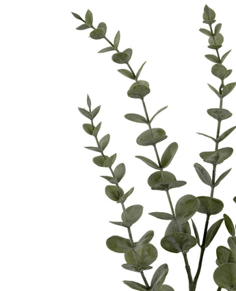 Drie Kunstbloem Eucalyptus Yugali stammen (71 cm) met ronde groene bladeren, diagonaal gerangschikt op een witte achtergrond.